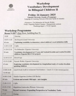 A view of a workshop programme. Speakers and titles are presented in the main text.