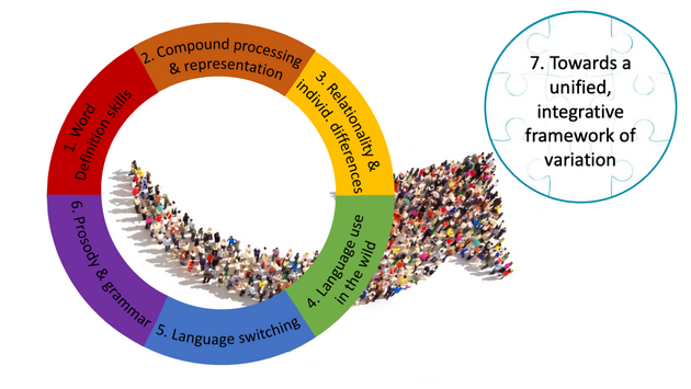 Graphic listing the seven TEAM sub-projects